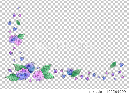 紫陽花のフレーム 103509099