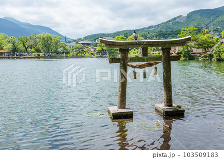 湯布院　金鱗湖 103509183