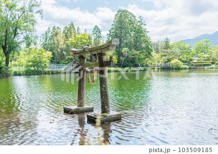 湯布院 金鱗湖 湯布院 金鱗湖 103509185