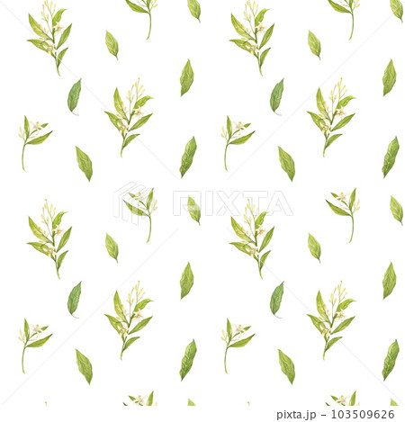 Watercolor seamless pattern with illustration of avocado leaves and flowers on white background. 103509626