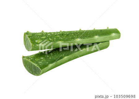 Fresh Aloe vera slice with aloe gel isolated on white background. Aloe vera leaf slice for design of herbal medicine or skin care treatment. Fresh Aloe vera slice with aloe gel isolated on white background. Aloe vera leaf slice for design of herbal medicine or skin care treatment. 103509698