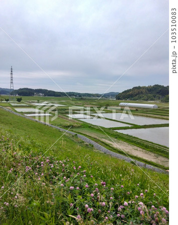 田舎の風景 103510083