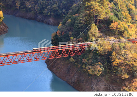 大井鉄道 大井湖上駅の紅葉 大井鉄道 大井湖上駅の紅葉 103511286