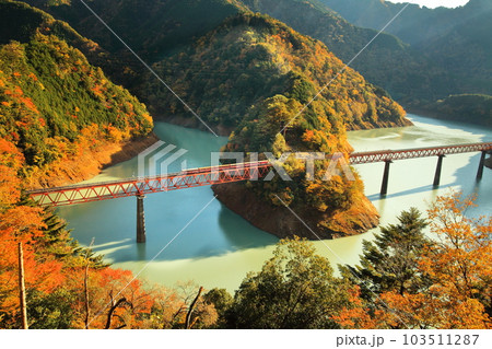 大井鉄道　奥大井湖上駅の紅葉 103511287