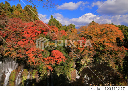 紅葉の白糸の滝と冠雪の富士山 103511297