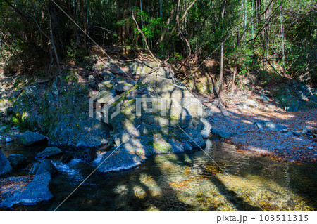 埼玉県 ときがわ町】三波渓谷 埼玉県 ときがわ町】三波渓谷 103511315