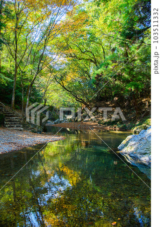 埼玉県　ときがわ町】三波渓谷 103511332