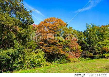 埼玉県　ときがわ町】三波渓谷 103511333