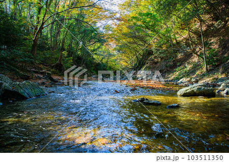 埼玉県 ときがわ町】三波渓谷 埼玉県 ときがわ町】三波渓谷 103511350