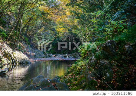 埼玉県　ときがわ町】三波渓谷 103511366