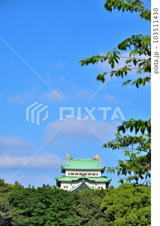 《愛知県》新緑の名古屋城 103511430