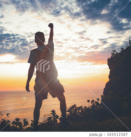 Man raising fists up the sunset sky 103511587