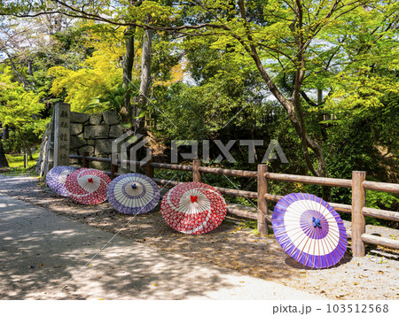 岡崎公園の和傘（愛知県） 103512568