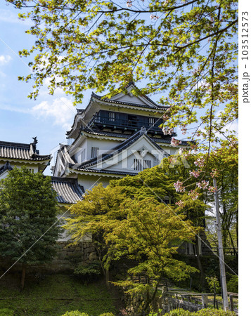 北側から望む春の岡崎城(愛知県) 北側から望む春の岡崎城(愛知県) 103512573