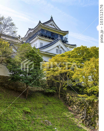 北側から望む春の岡崎城(愛知県) 北側から望む春の岡崎城(愛知県) 103512576