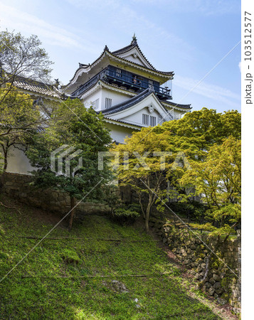 北側から望む春の岡崎城（愛知県） 103512577