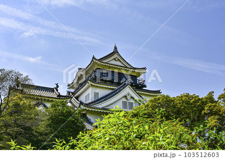 北側から望む春の岡崎城（愛知県） 103512603