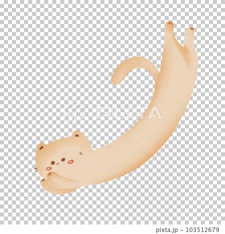 cute cat cute cat 103512679