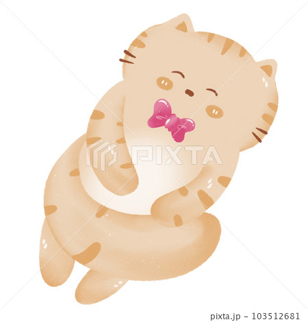 cute cat cute cat 103512681