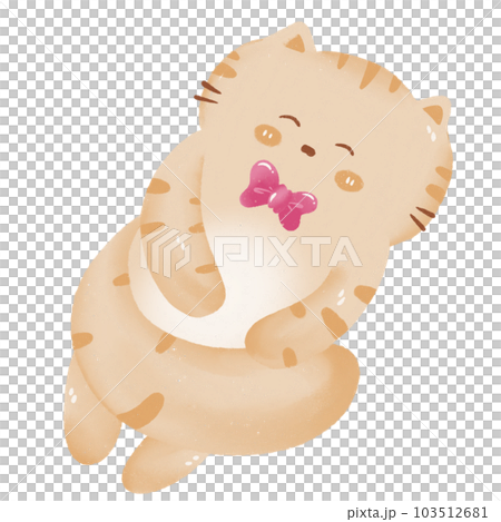 cute cat cute cat 103512681