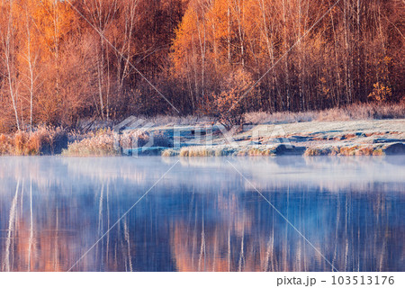Forest by the lake at cold autumn. 103513176