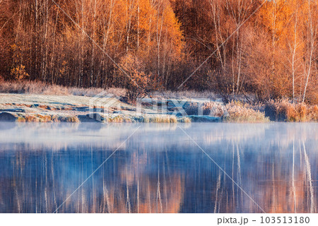 Forest by the lake at cold autumn morning. 103513180