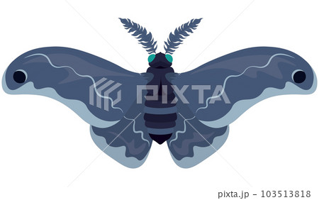 Giant silk blue colored moth vector illustration 103513818