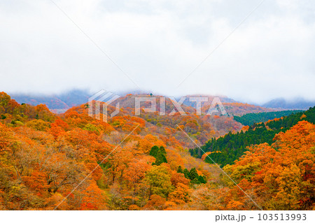 【栃木県 日光市】霧降ノ滝 【栃木県 日光市】霧降ノ滝 103513993