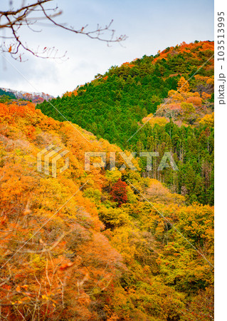【栃木県　日光市】霧降ノ滝 103513995