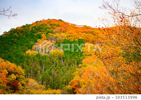 【栃木県　日光市】霧降ノ滝 103513996