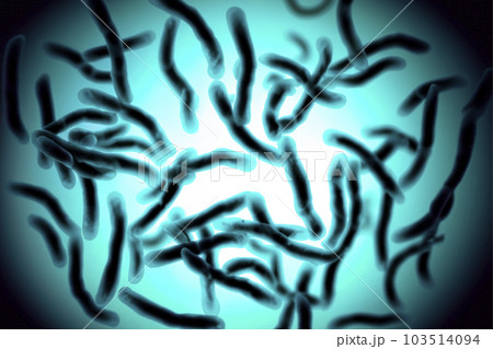 Bacteria. Close up of 3d microscopic bacteria. Bacteria Colony. Bacterium. Prokaryotic microorganisms. 3d illustration. Banner. Genetic mutation in bacteria can lead to antibiotic resistance. 103514094