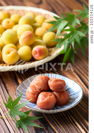 梅干しと完熟梅(紀州南高梅) 梅干しと完熟梅(紀州南高梅) 103514126