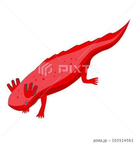 Axolotl species icon. Isometric of axolotl species vector icon for web design isolated on white background Axolotl species icon. Isometric of axolotl species vector icon for web design isolated on white background 103514561