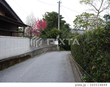 外房線東浪見駅からの散策 103514644