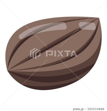 Cinnamon seed icon. Isometric of cinnamon seed vector icon for web design isolated on white background 103514886
