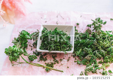 手作りドライパセリ 103515255