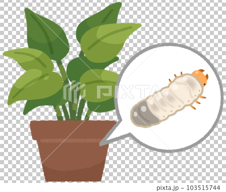Flowerpot and scarab beetle larvae 103515744