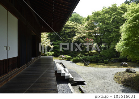 御座所庭園 泉涌寺 御座所庭園 泉涌寺 103516031