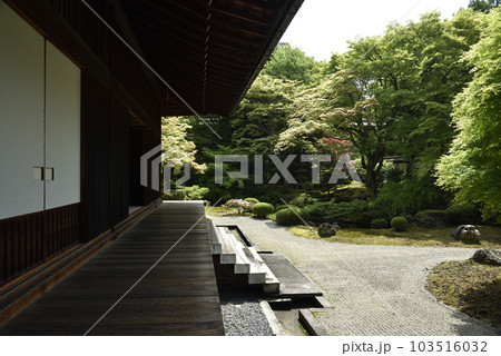 御座所庭園 泉涌寺 御座所庭園 泉涌寺 103516032