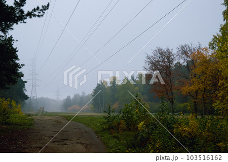 View of high power lines on an autumn morning in a foggy forest 103516162