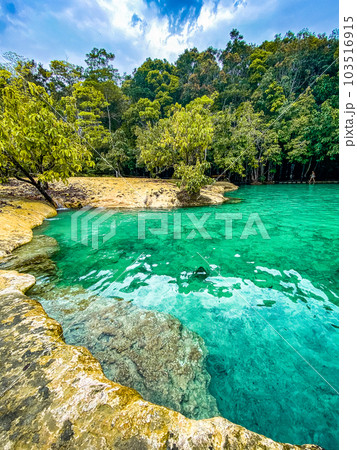 Emerald Pool in Krabi rainforest and mangrove trees, Thailand. Crystal clear water ponds Emerald Pool in Krabi rainforest and mangrove trees, Thailand. Crystal clear water ponds 103516915
