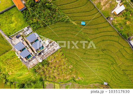 Aerial view of rice terraces in Canggu, Bali, Indonesia Aerial view of rice terraces in Canggu, Bali, Indonesia 103517630