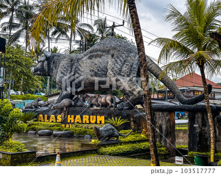 View of rice terraces and pool from cretya, Ubud, Bali, Indonesia 103517777