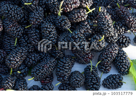 Fresh mulberries and leaves isolated on white wooden background. Top view, Healthy food. 103517779