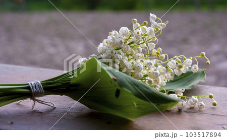 Lily of the valley bouquet Lily of the valley bouquet 103517894