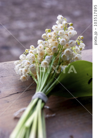 Lily of the valley bouquet Lily of the valley bouquet 103517895