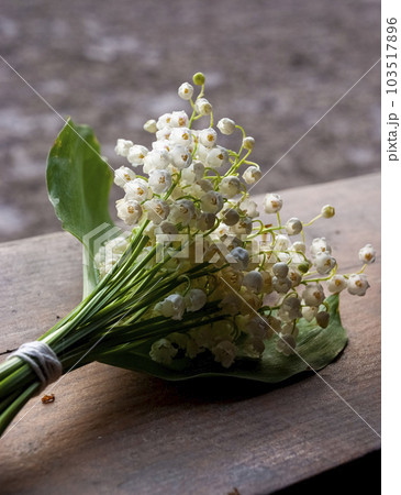 Lily of the valley bouquet Lily of the valley bouquet 103517896
