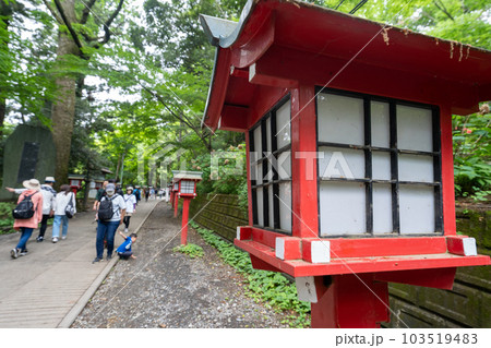 高尾山の風景 103519483