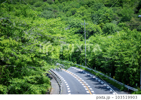 山間の道 山間の道 103519903