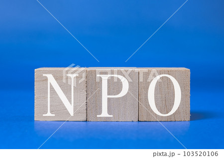 【社会】NPO　非営利団体 103520106